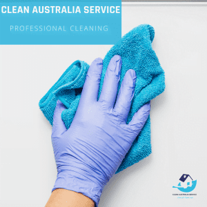 Professional Service