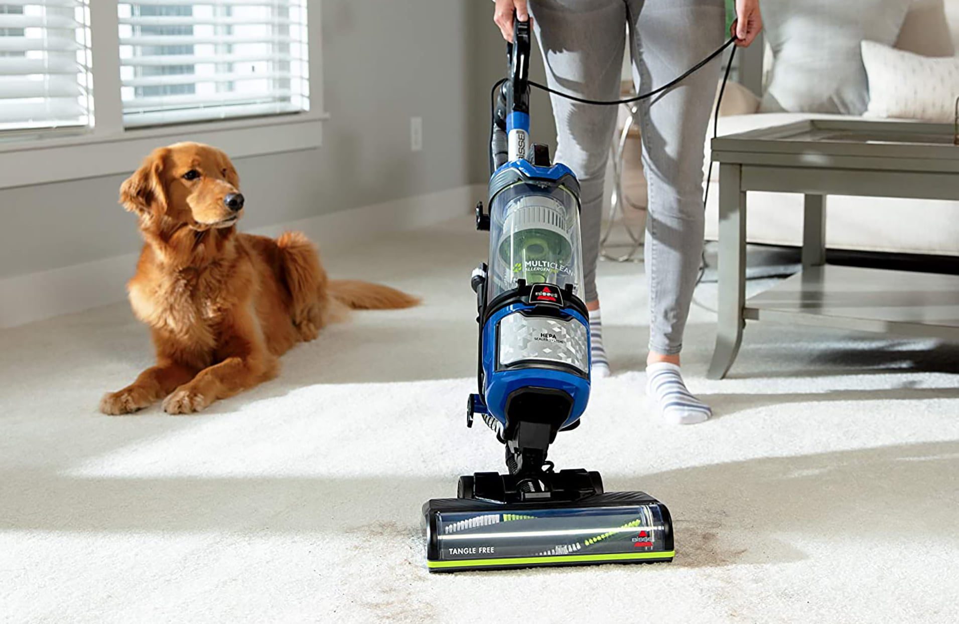 Featured image for “Why House Cleaning Service Should Be Pet-Friendly”