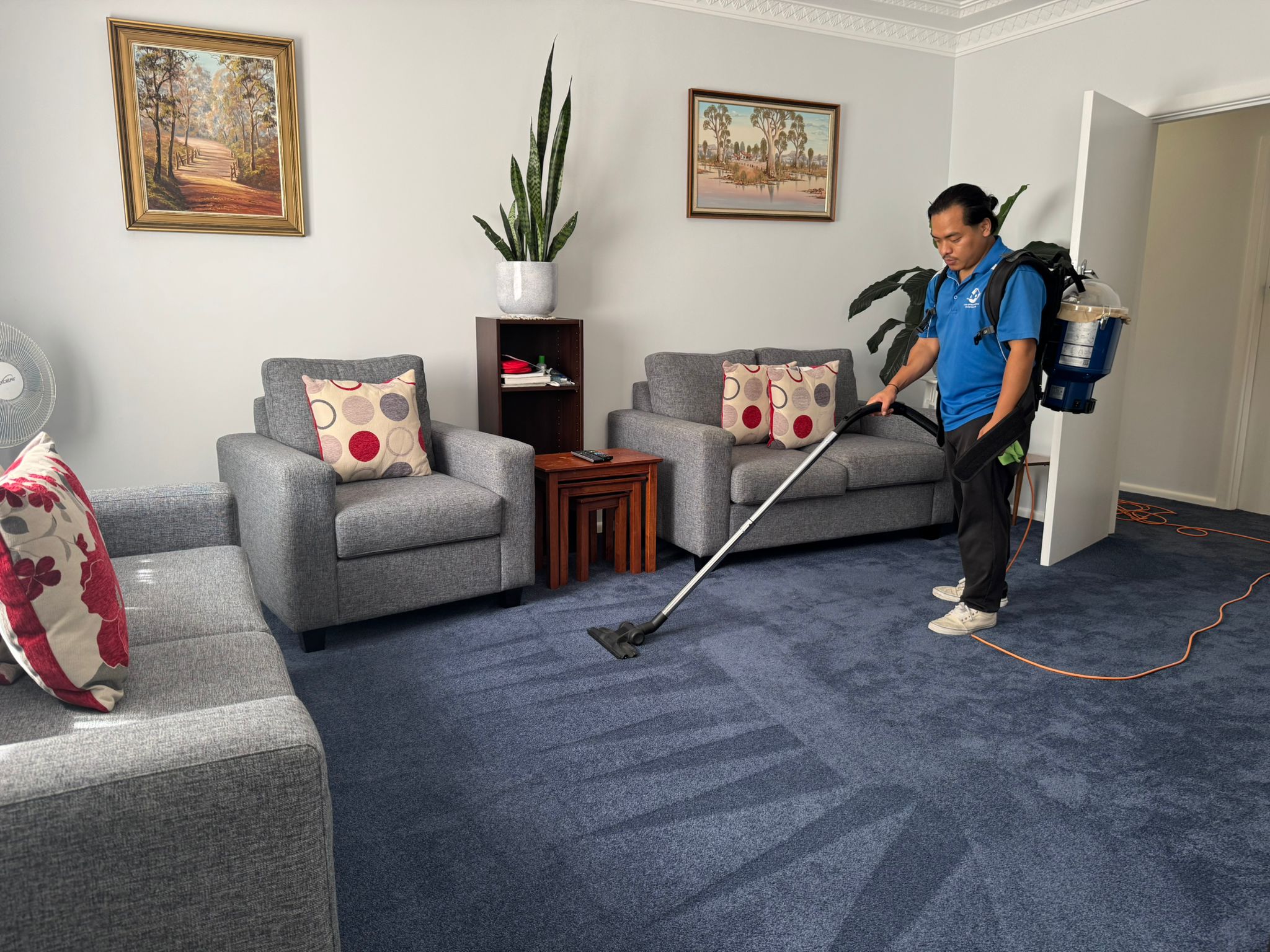 carpet cleaning sydney