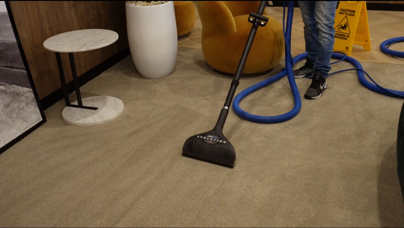carpet steam cleaning sydney
